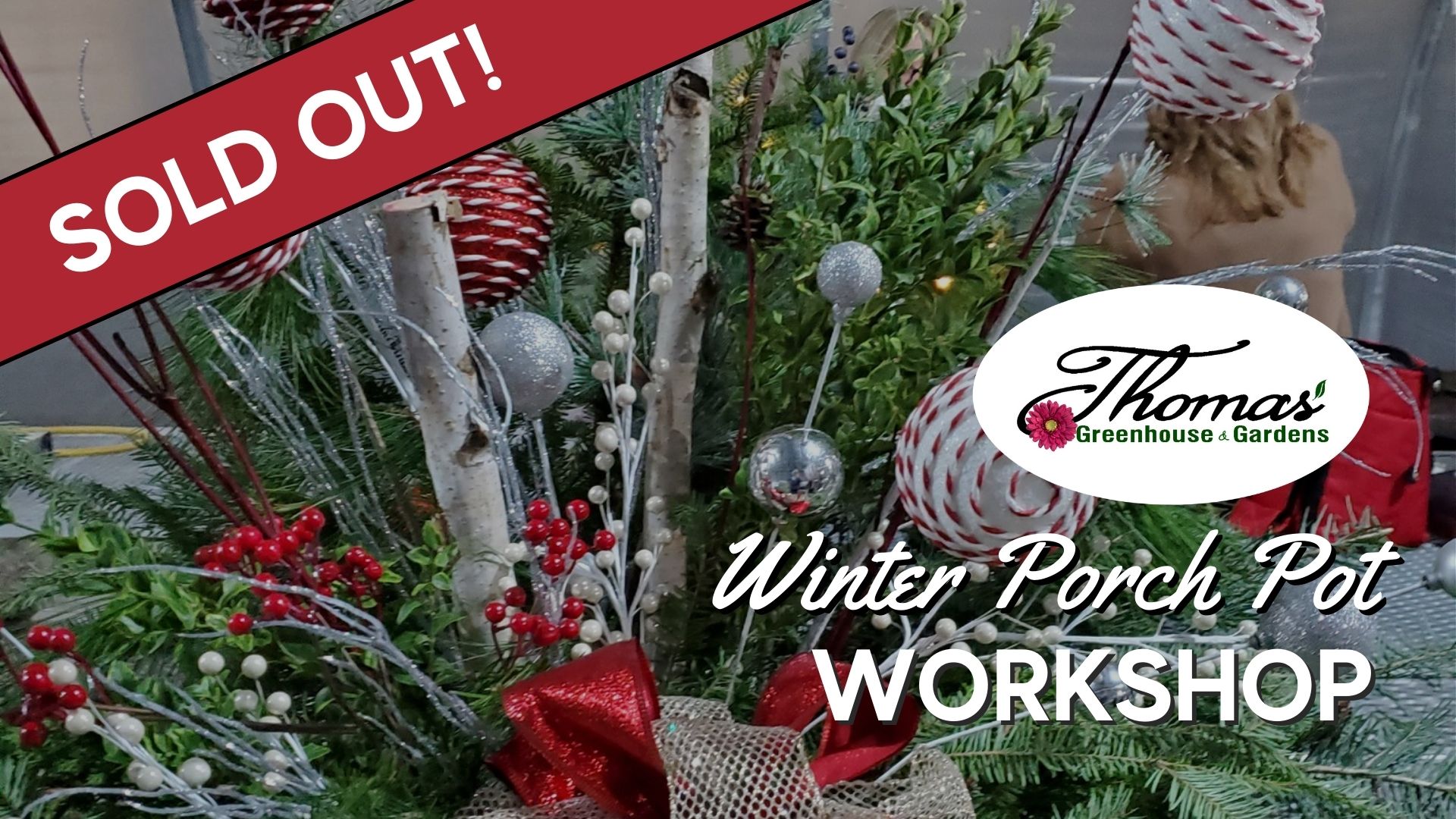 This is an image that illustrates decor for a winter porch pot. There is a banner that reads "sold out" along with the words "Winter Porch Pot Workshop" and the Thomas Greenhouse logo