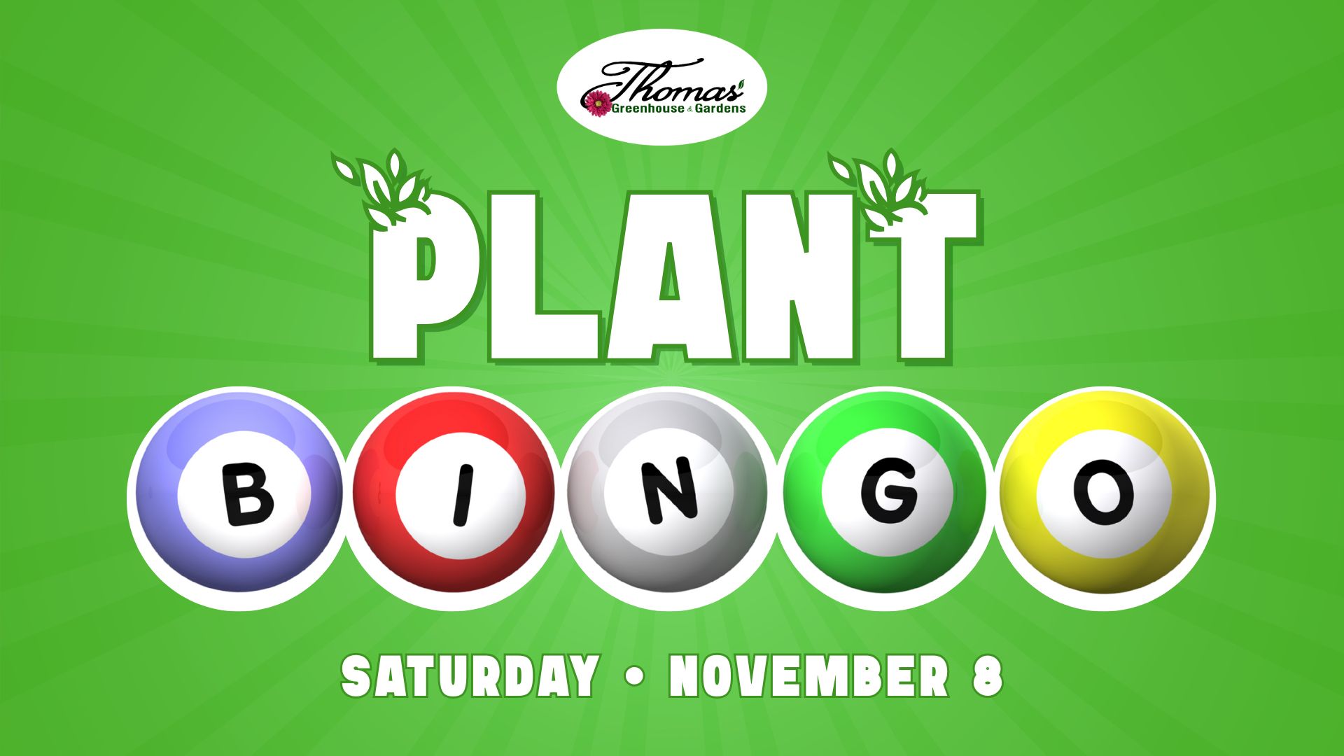 Thomas Greenhouse and Gardens Plant Bingo promotional graphic with the word ‘PLANT’ in bold white letters and colorful bingo balls spelling B-I-N-G-O on a bright green background