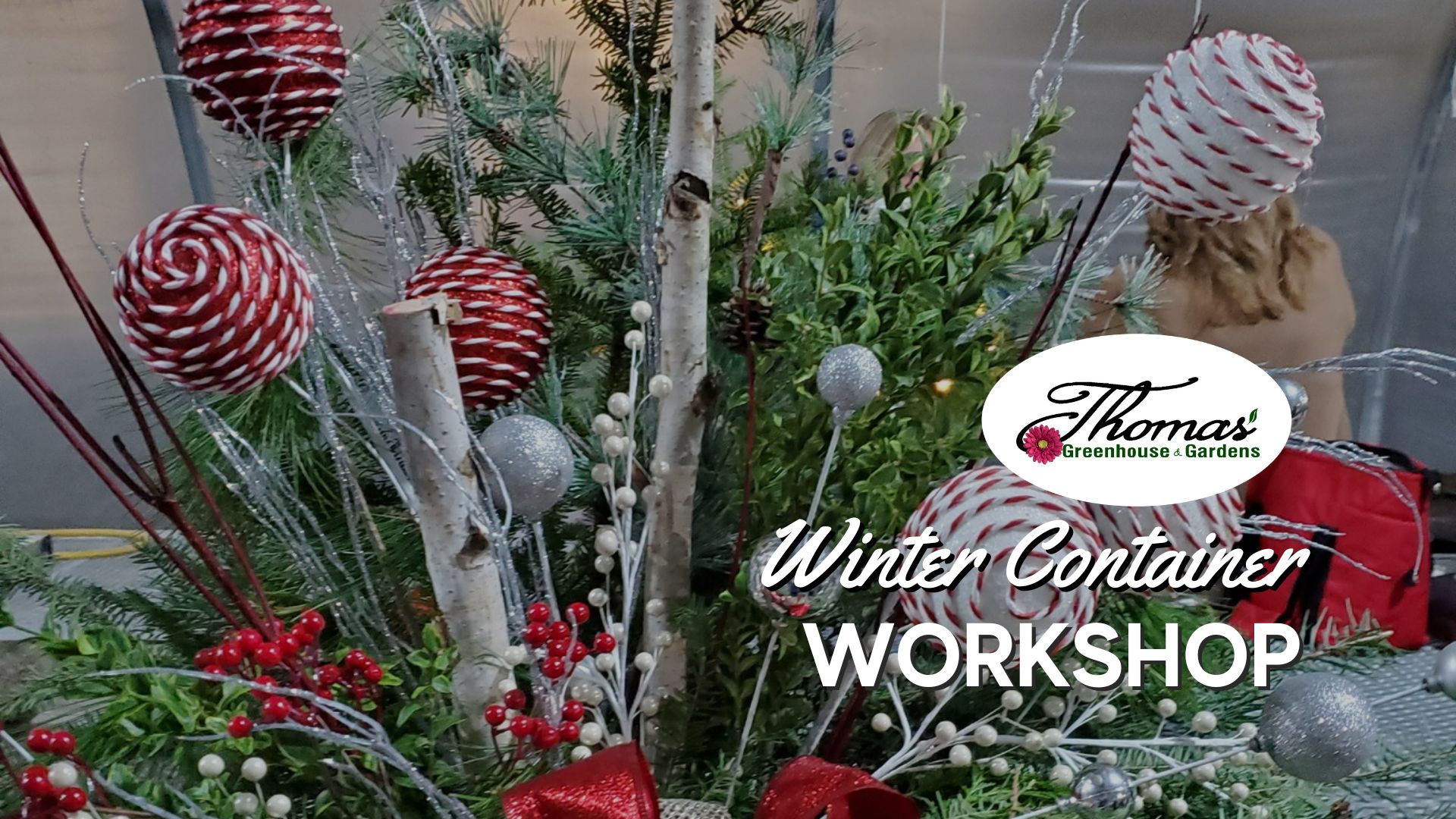 Winter porch container workshop example arrangement at Thomas Greenhouse and Gardens